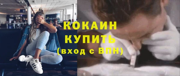 jwh Гусь-Хрустальный