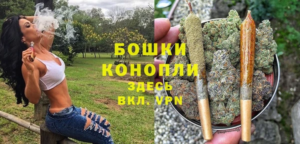 метадон Гусиноозёрск