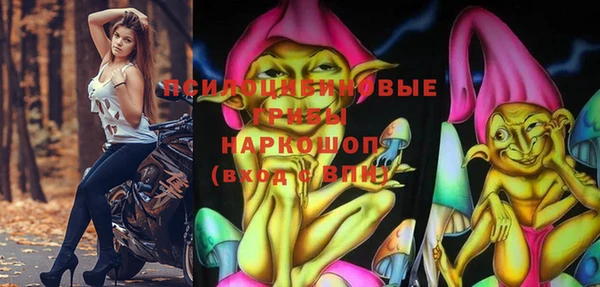 jwh Гусь-Хрустальный