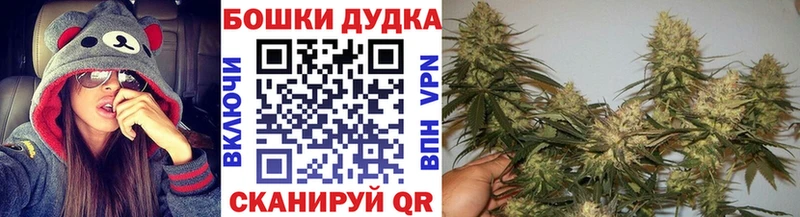 где купить наркоту  omg ссылка  Конопля SATIVA & INDICA  Ершов 