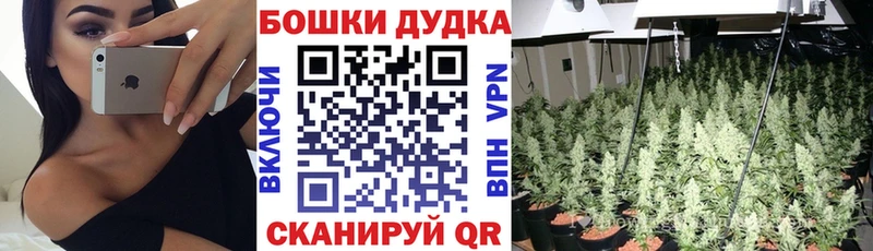 Шишки марихуана OG Kush Ершов